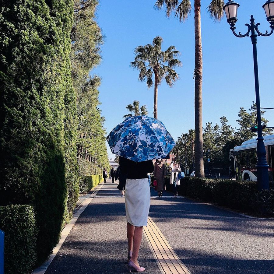 カサノヴァ 晴雨兼用長傘 (ブルーローズ) / Think Bee! 『公式